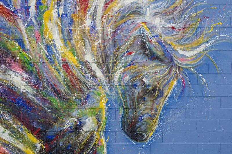 P 15 Horse