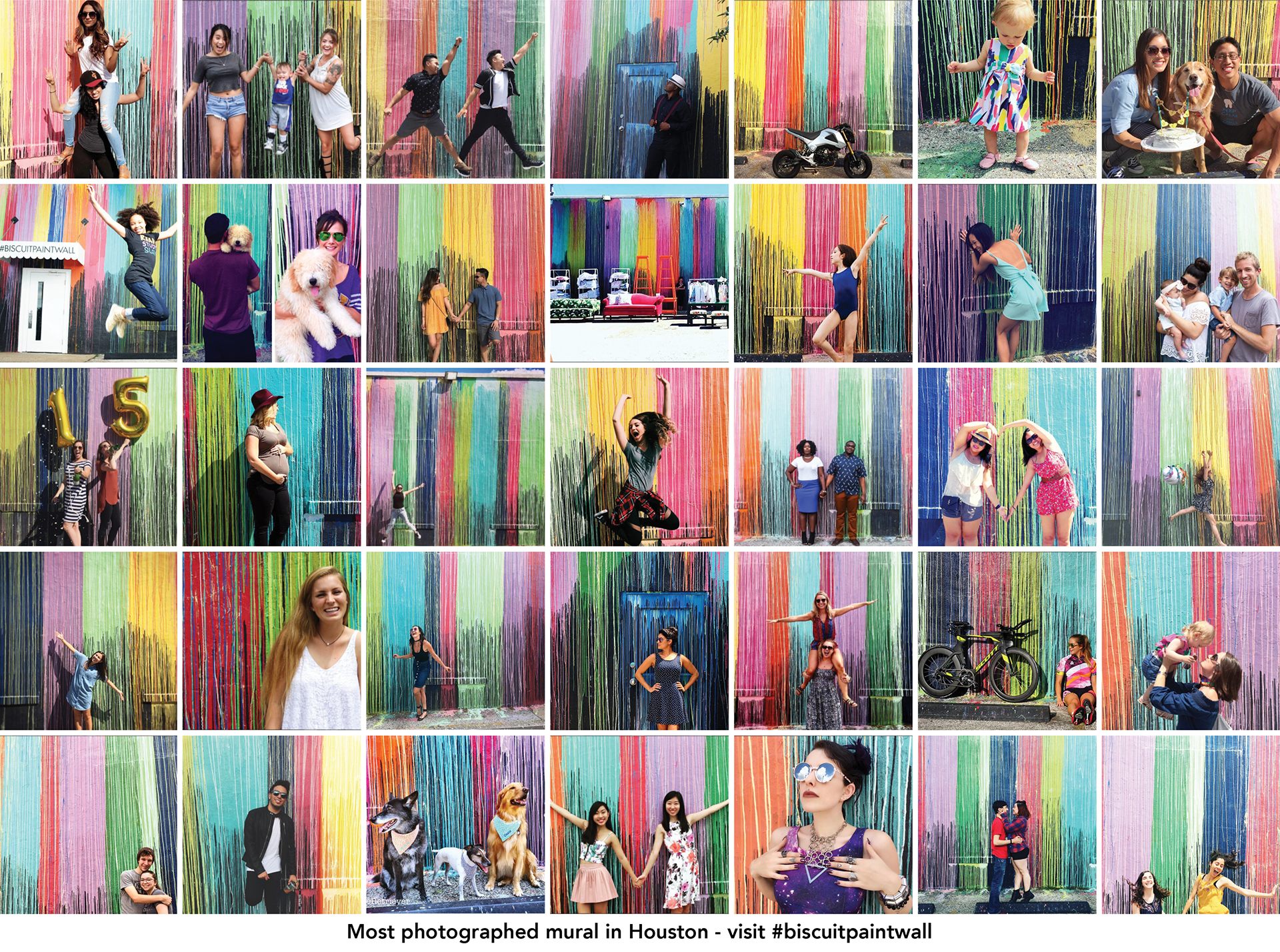 BuscuitPaintWall 02
