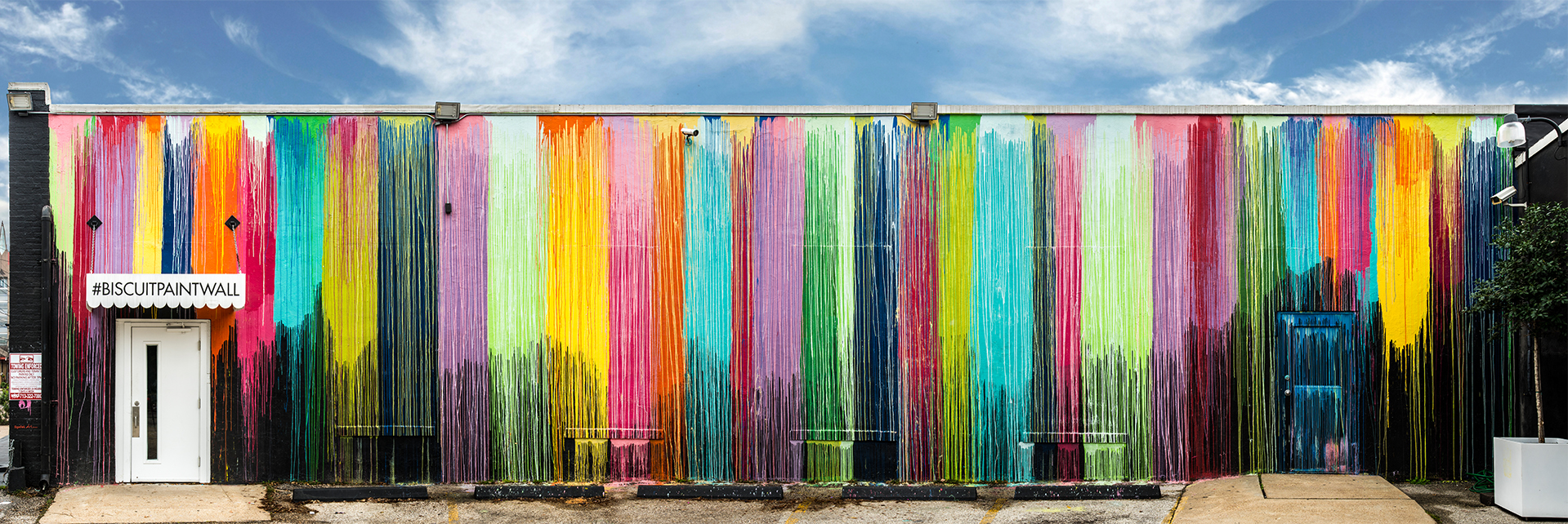 BuscuitPaintWall 03